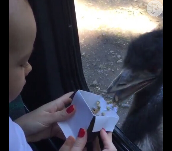 Ana Hickmann levou o filho, Alexandre Jr., para passeio no zoológico na manhã deste sábado, 6 de junho de 2015. No local, o pequeno alimentou um emú