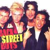 Os Backstreet Boys se tornaram oficialmente uma banda em 1993. No mesmo ano, eles fizeram o primeiro grande show da carreira no Sea World, na Flórida, nos Estados Unidos