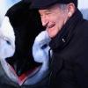 Robin Williams também tem emprestado sua voz para desenhos animados, em 2006 e 2011, ele dublou o protagonista do filme 'Happy Feet'