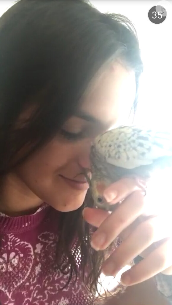 'Amor da minha vida', disse Bruna sobre sua ave