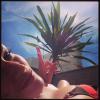 Thaís Fersoza colocou o biquíni para curtir o dia de sol em São Paulo. Em seu Instagram a atriz comemorou: 'Bora entrar no clima (e na cor) do verão!'