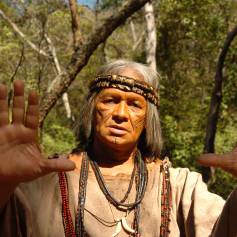 Francisco Carvalho também fez uma participação na novela 'Alma Gêmea' (2005) como um pajé