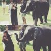 Kim Kardashian tenta fazer selfie com elefante, mas se assusta com o animal
