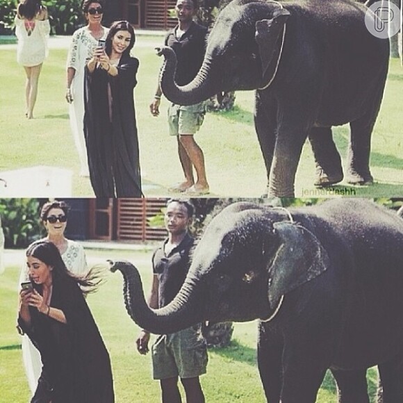 Kim Kardashian tenta fazer selfie com elefante, mas se assusta com o animal