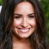 Demi Lovato também passou por um susto em sua passagem pelo Brasil em 2014 quando um fã arremesou um objeto na artista e ela foi salva pelo seu segurança