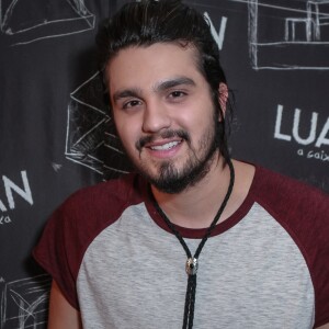 'Bateu o cotovelo e a lombar, mas nada além disso', afirmou a representante de Luan Santana