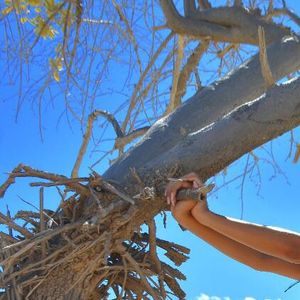 Munik Nunes intensifica malhação para secar para casamento: 'Malho todos os dias'