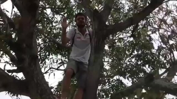 Emilio Dantas foi filmado em cima de uma árvore por Paolla Oliveira