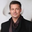  Brad Pitt chegou a ser investigado por suposta agressão ao filho Maddox em um jatinho particular durante uma viagem de volta da França 