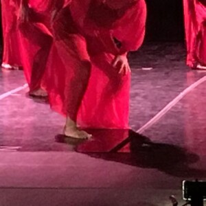 Fátima Bernardes apresentou o espetáculo de dança de sua companhia neste sábado, 9 de dezembro de 2017, no Rio