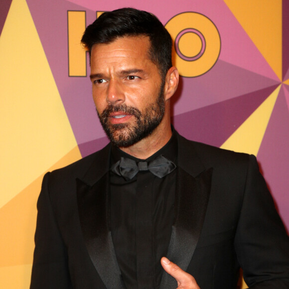 'E então um dia eu fui para Londres e o encontrei, jogo terminado. Estamos juntos há mais de um ano', recordou Ricky Martin