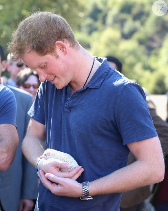 Príncipe Harry segura animal no colo durante visita ao Chile