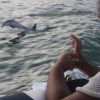 Beyoncé publicou uma fotografia da filha vendo os golfinhos no mar