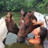 Gisele Bündchen postou uma foto tomando banho com dois cavalos em um rio