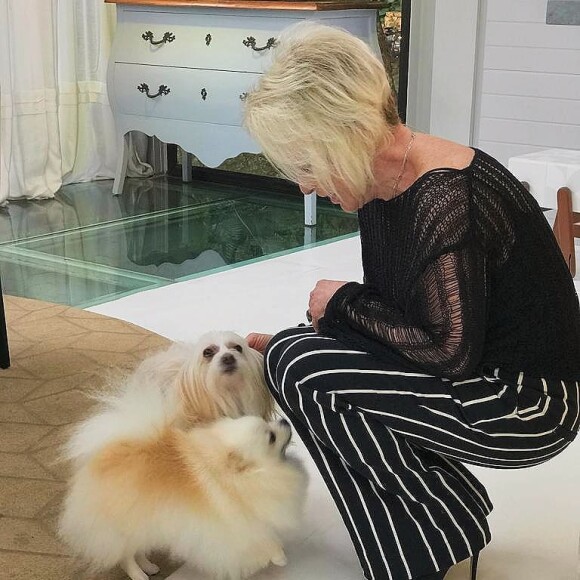 Ana Maria Braga tem um grande carinho pelo seus cachorrinhos