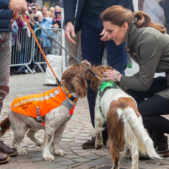 Kate Middleton faz carinho em cachorros em evento para evento em Cumbria, no Reino Unido, nesta terça-feira, dia 11 de junho de 2019