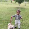 Veja vídeo de filha mais nova de Ticiane Pinheiro andando com cachorra!