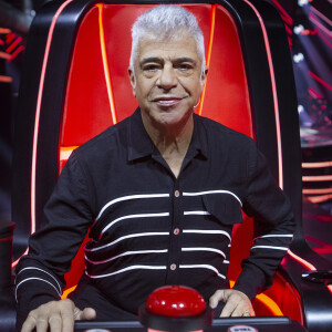 Lulu Santos passa a ter a companhia de Carlinhos Brown no 'The Voice Brasil'