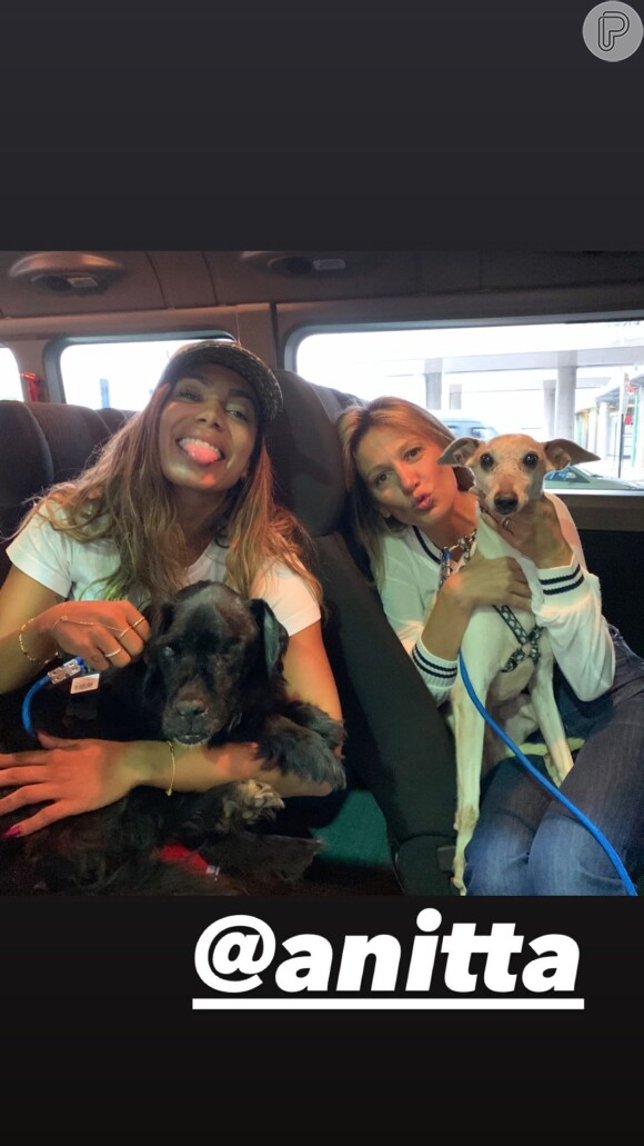 Anitta adota cachorro da mesma raça do Plínio