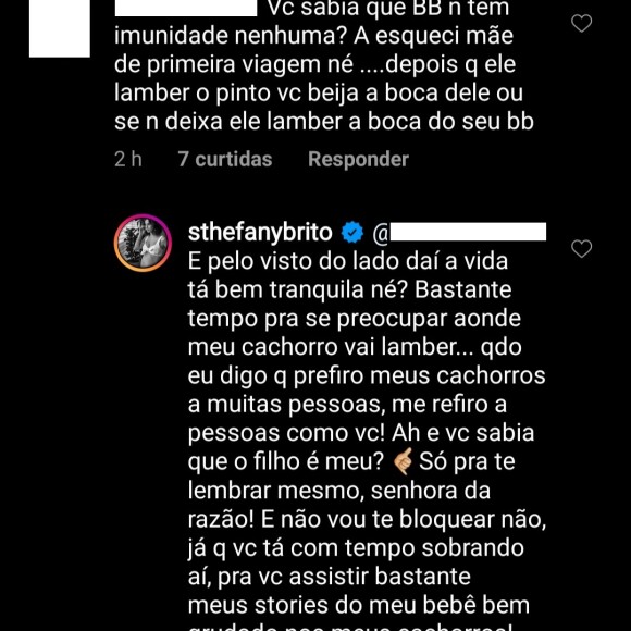 Sthefany Brito responde internauta sobre crítica a foto de cachorro em cadeirinha