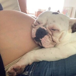 Sthefany Britto mostra pet abraçado à sua barriga