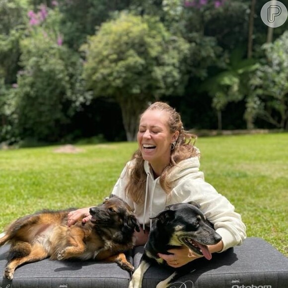 Paolla Oliveira tranquilizou os seguidores sobre pets após incêndio