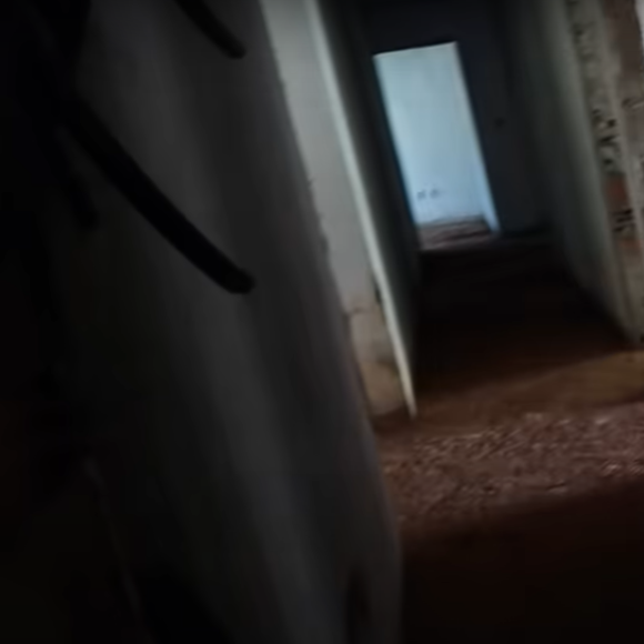Virgínia se assusta ao encontrar morcegos dentro da casa que comprou