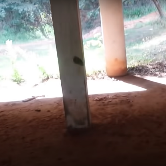 Virgínia explica que casa deve ainda ser ampliada