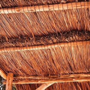 Thaila Ayala e Renato Góes fizeram o anúncio nas redes sociais usando a mesma foto e avisaram: 'Mãe e pai de Francisco'