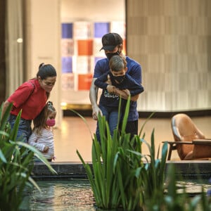 Filhos de Michel Teló e Thais Fersoza se animam diante de peixes em shopping