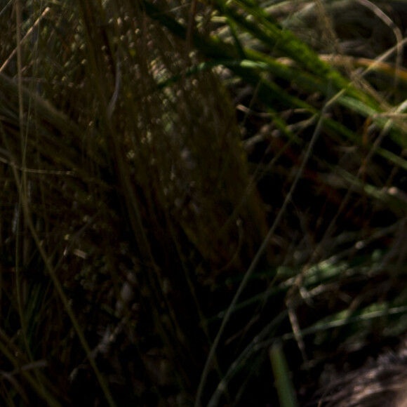 Camila Queiroz queria alterar o desfecho de Angel em 'Verdades Secretas 2'