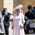Mulher do príncipe Charles,  a duquesa Camilla Parker-Bowles também  contraiu a Covid-19