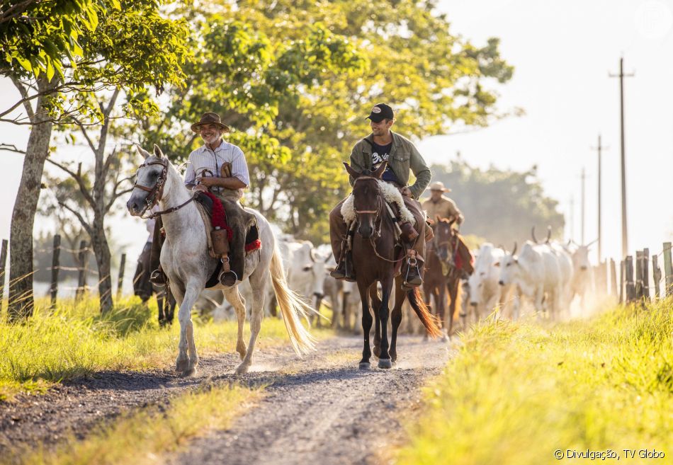Após cair de cavalo no Pantanal, Irandhir Santos foi levado para hospital em Campo Grande (Mato Grosso do Sul)