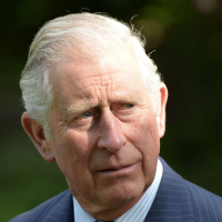 A teoria da maldição dos Reis Charles vai te deixar com medo do futuro do filho de Elizabeth II
