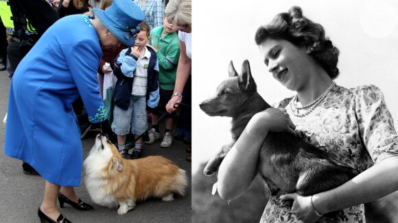 A Rainha Elizabeth II teve mais de 30 cachorros da mesma raça