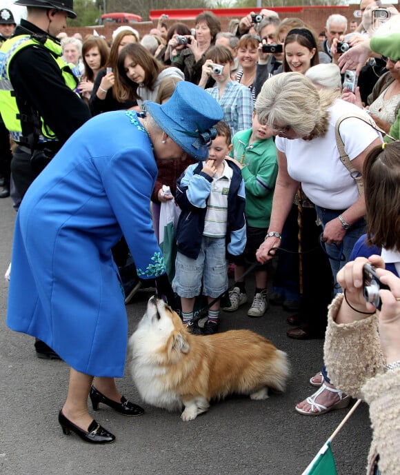 A Rainha Elizabeth II teve mais de 30 cães da raça Welsh Corgi Pembroke durante o seu longo reinado