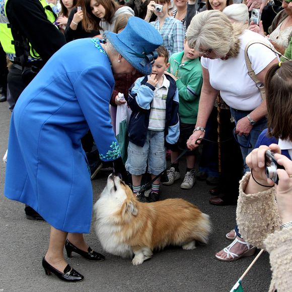 A Rainha Elizabeth II teve mais de 30 cães da raça Welsh Corgi Pembroke durante o seu longo reinado