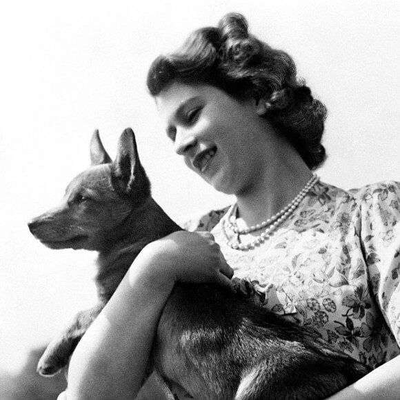 A primeira cachorrinha da Rainha Elizabeth II foi Susan, dada à monarca como presente pelos seus 18 anos, na década de 40