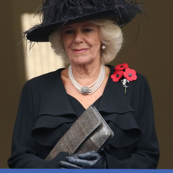 Camilla Parker Bowles teria sido contra a ideia do enteado. 'Ela disse a Harry que era ridículo', conta Katie Nicholl