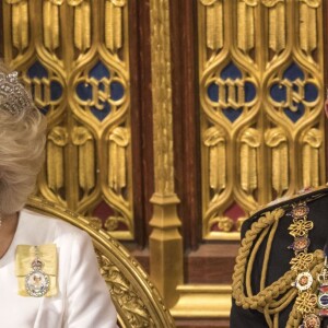 Charles teria ficado confuso e Camilla Parker Bowles teria cuspido o chá que tomava após pedido de Príncipe Harry