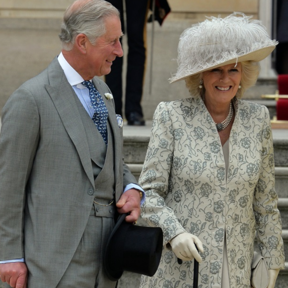 Rei Charles III teme a forma com que a esposa, a rainha consorte Camilla, será retratada no livro do Príncipe Harry