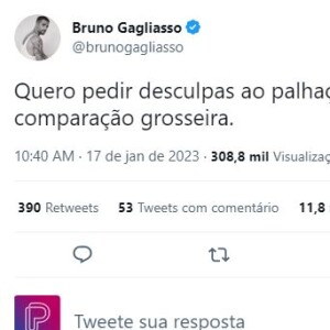 Bruno Gagliasso pediu desculpas ao palhaço