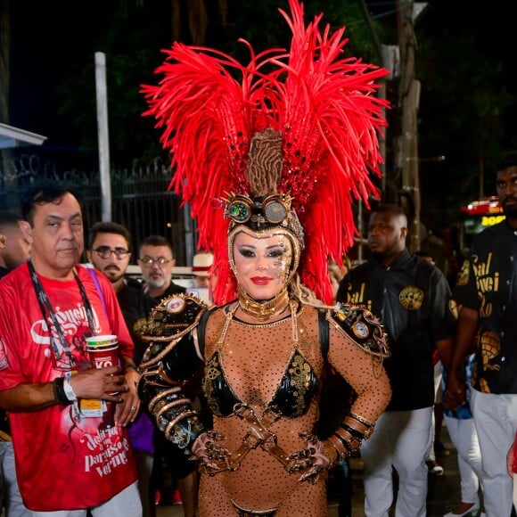 Viviane Araújo recebeu muitos elogios pelo seu desempenho frente ao Salgueiro