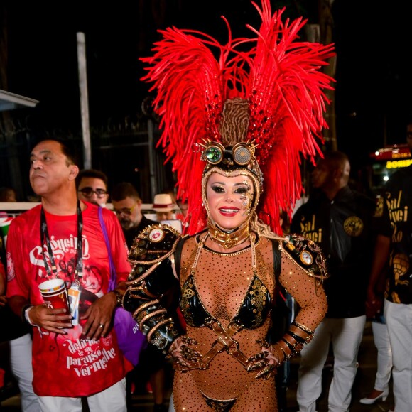 Fantasia de Viviane Araújo representa a força da mulher