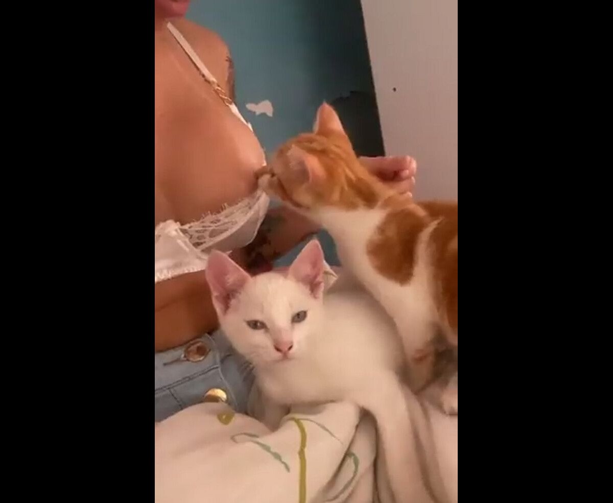 Foto: No vídeo, MC Pipokinha tem os seios lambidos por um gato - Purepeople