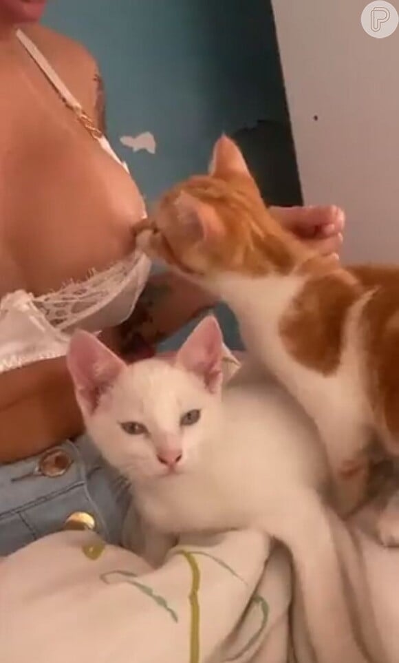 No vídeo, MC Pipokinha tem os seios lambidos por um gato