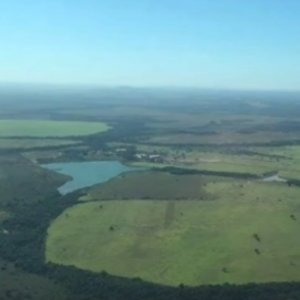 Fazenda de Gusttavo Lima possui 39 mil hectares de área agricultável e pronta para o plantio