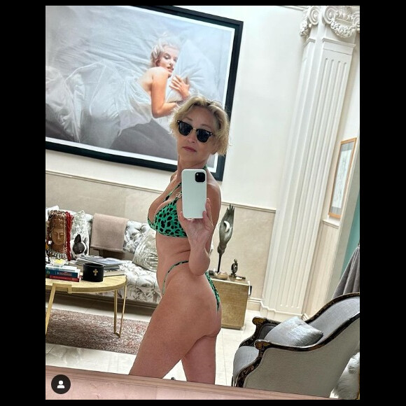 Com biquíni fio-dental, Sharon Stone posta foto rara em seu feed do Instagram.