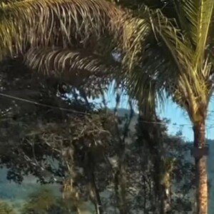 Na mansão de Neymar construíram um lago artificial de forma irregular e ilegal.