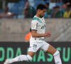 Deportivo Pereira x Palmeiras vai passar ao vivo na Globo em 23 de agosto de 2023 pelas quartas de final da Libertadores da Amércia 2023. ESPN e o Star+ também exibem o jogo